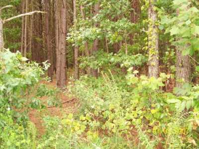 Residential Land For Sale in Loris, South Carolina