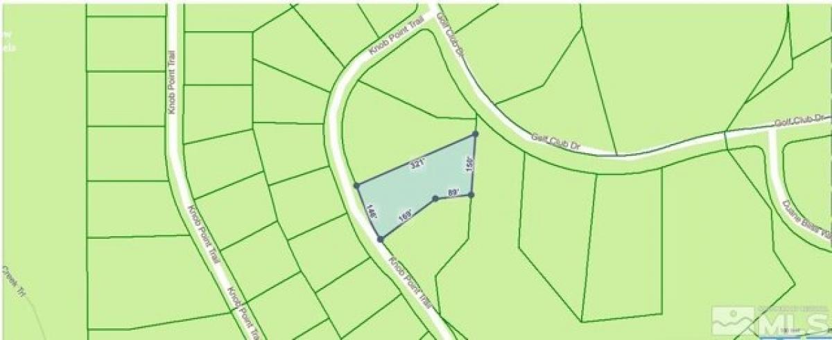 Picture of Residential Land For Sale in Carson City, Nevada, United States
