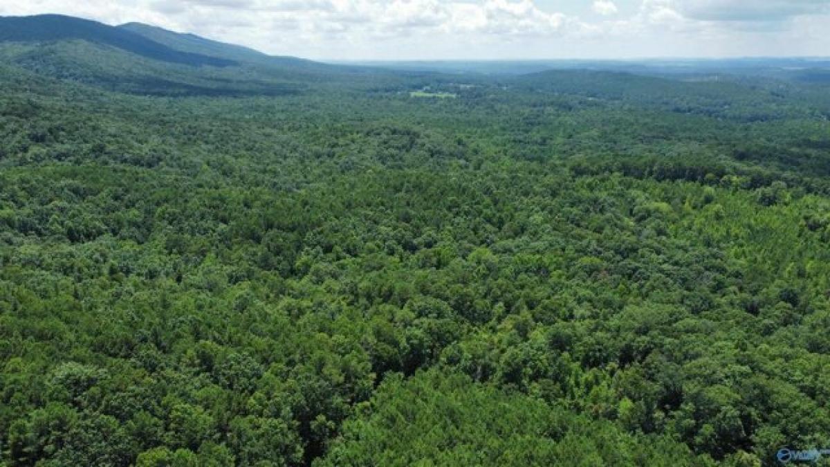 Picture of Residential Land For Sale in Piedmont, Alabama, United States