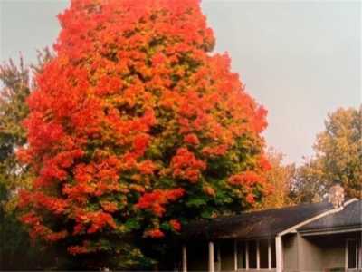 Home For Sale in Stillwater, Minnesota