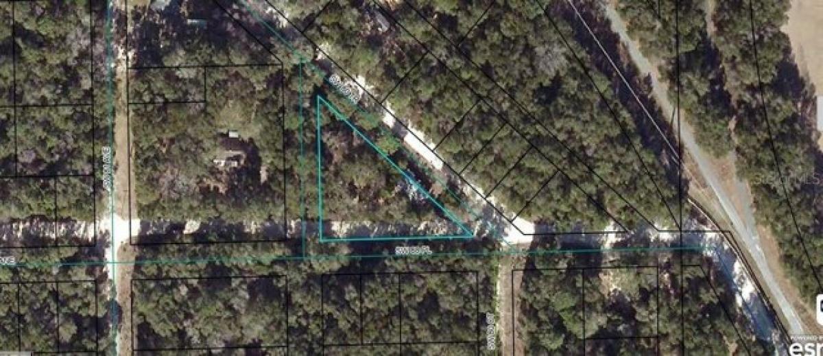 Picture of Residential Land For Rent in Trenton, Florida, United States