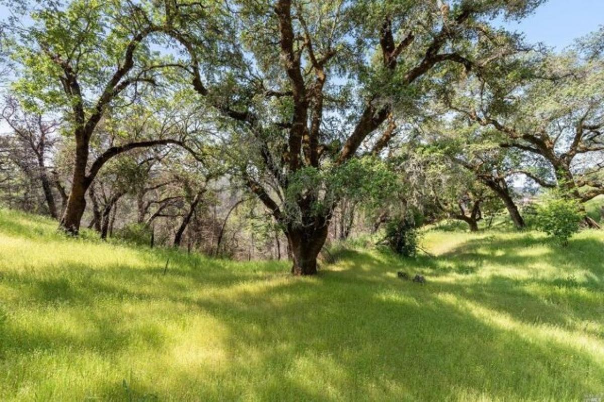 Picture of Residential Land For Sale in Healdsburg, California, United States