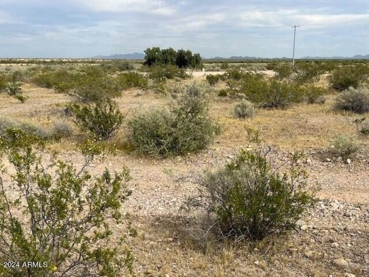 Picture of Residential Land For Sale in Tonopah, Arizona, United States