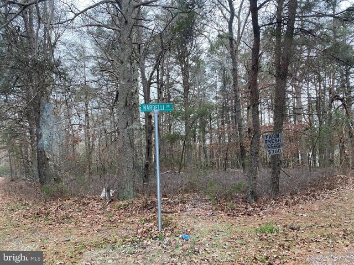 Picture of Residential Land For Sale in Millville, New Jersey, United States