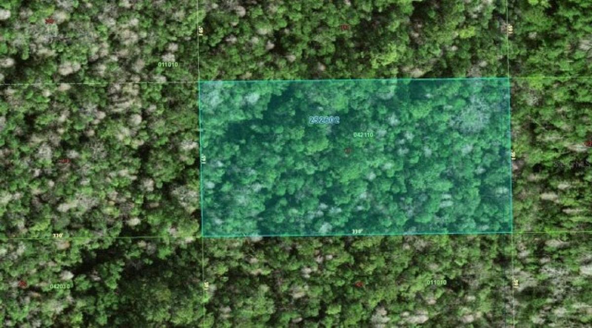 Picture of Residential Land For Rent in Polk City, Florida, United States