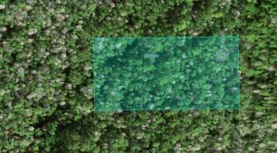 Residential Land For Rent in Polk City, Florida