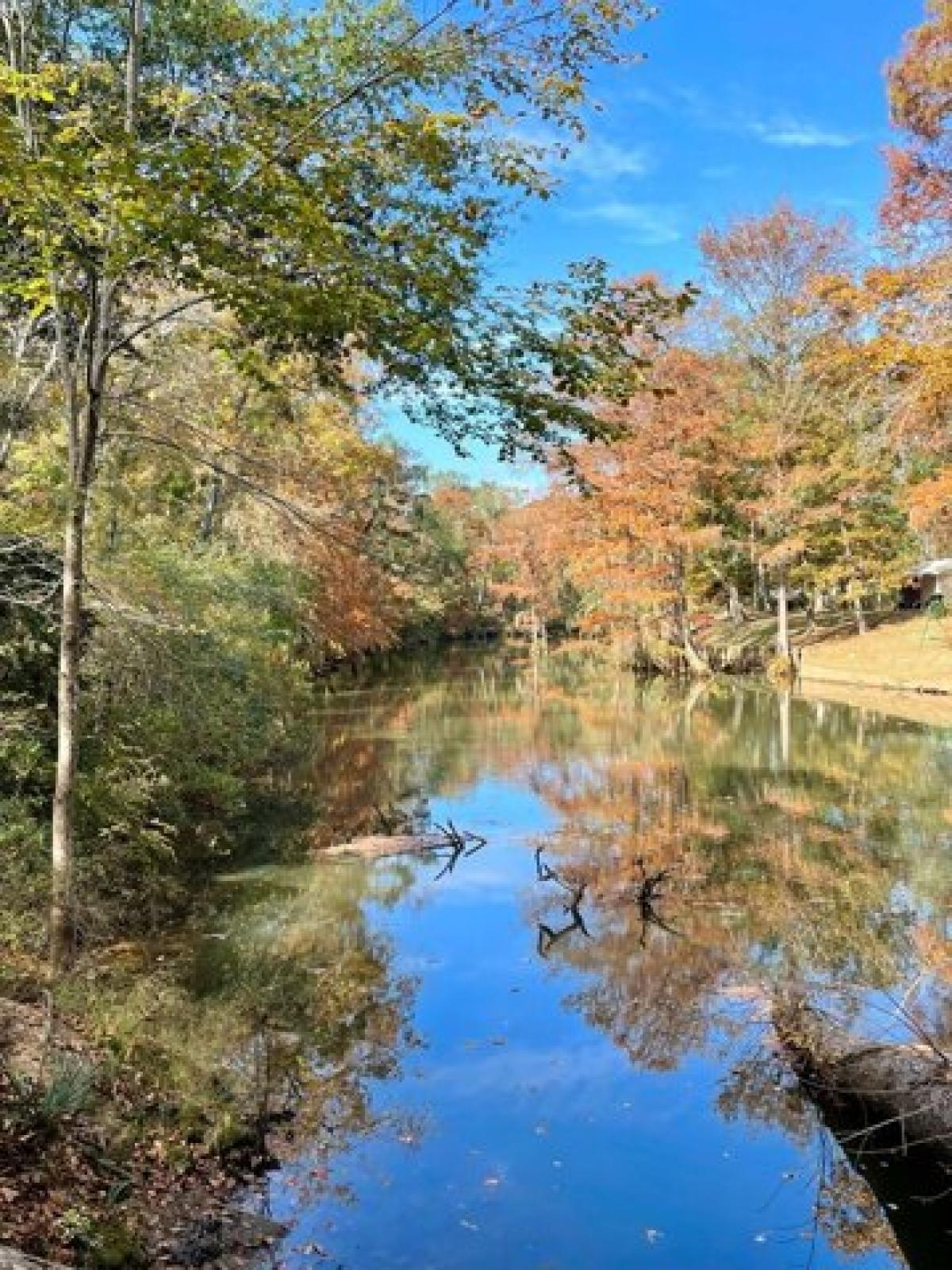 Picture of Residential Land For Sale in Leesburg, Georgia, United States