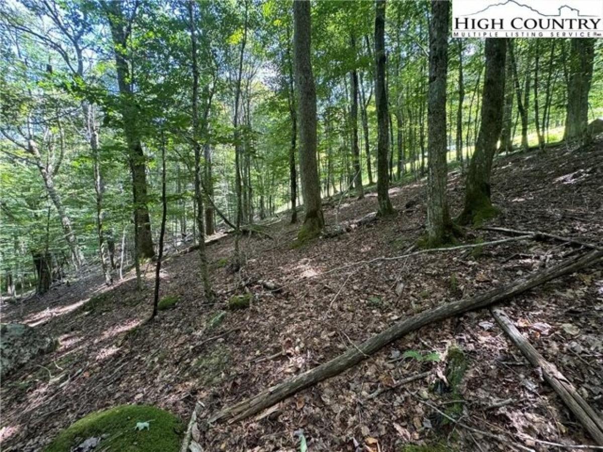 Picture of Residential Land For Sale in Beech Mountain, North Carolina, United States