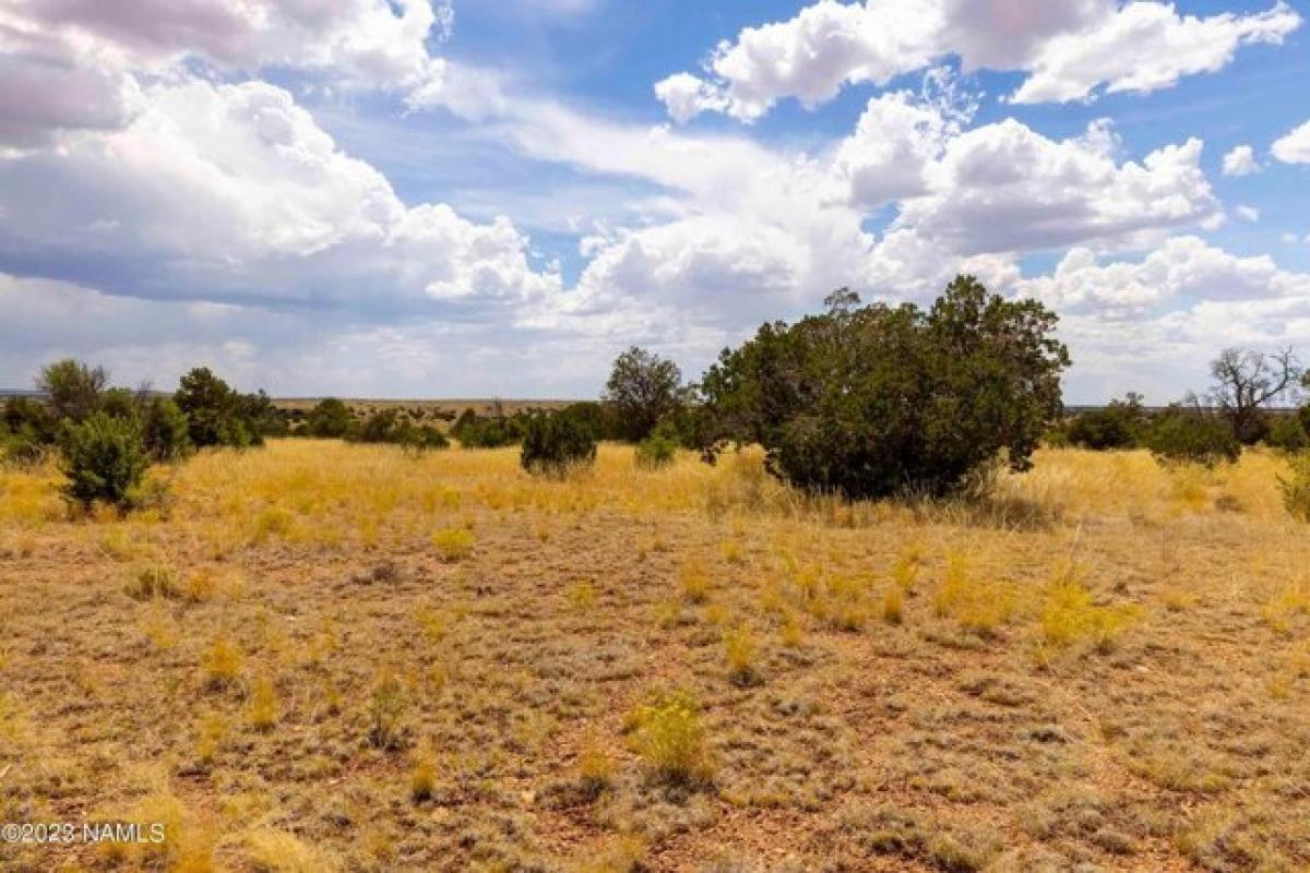 Picture of Residential Land For Rent in Williams, Arizona, United States