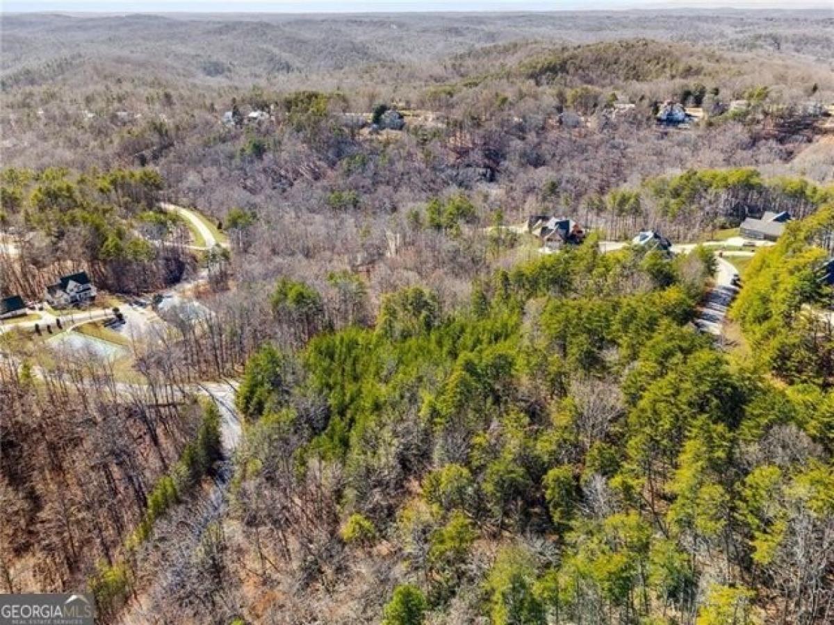Picture of Residential Land For Sale in Dahlonega, Georgia, United States