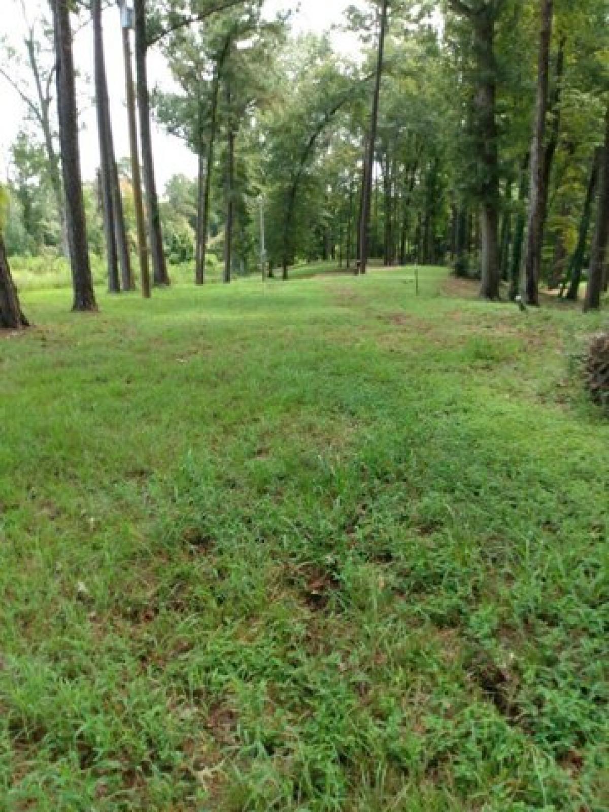 Picture of Residential Land For Sale in Many, Louisiana, United States