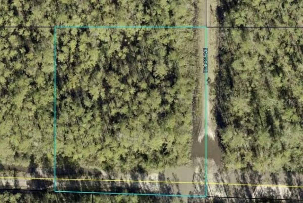 Picture of Residential Land For Sale in Hastings, Florida, United States
