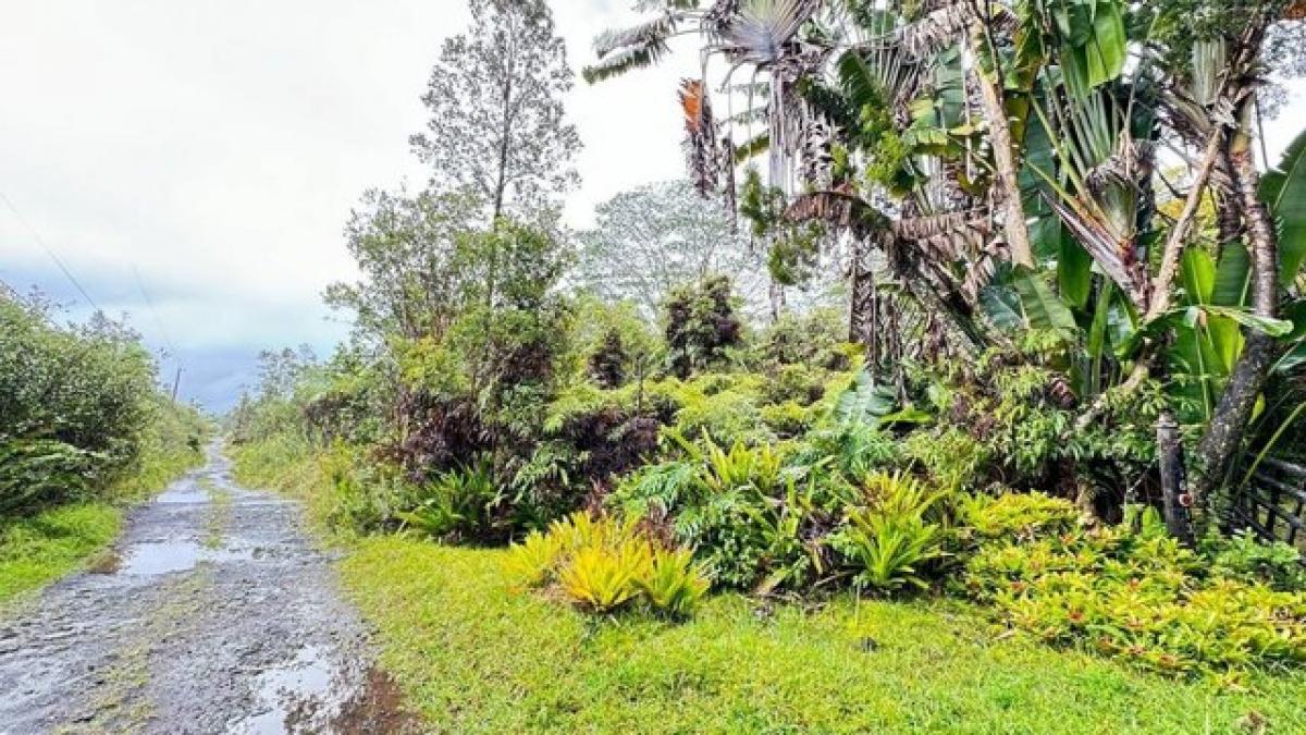 Picture of Residential Land For Sale in Mountain View, Hawaii, United States