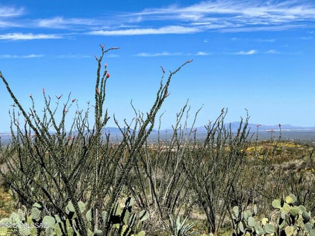 Picture of Residential Land For Sale in Vail, Arizona, United States