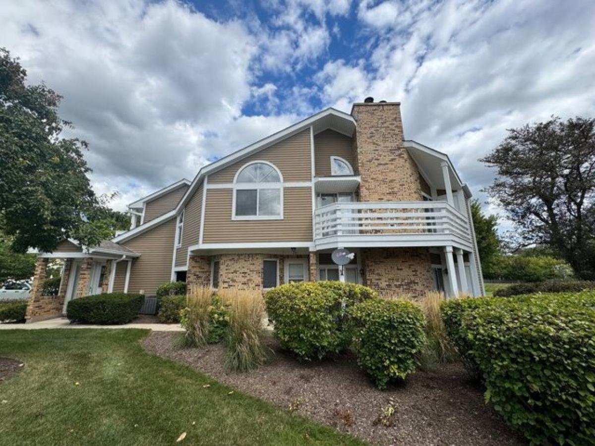 Picture of Home For Rent in Buffalo Grove, Illinois, United States