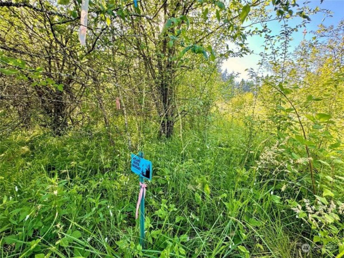 Picture of Residential Land For Sale in Tacoma, Washington, United States