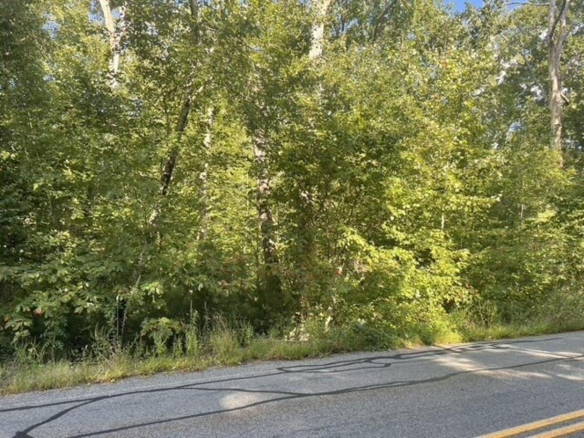 Picture of Residential Land For Rent in Wrentham, Massachusetts, United States