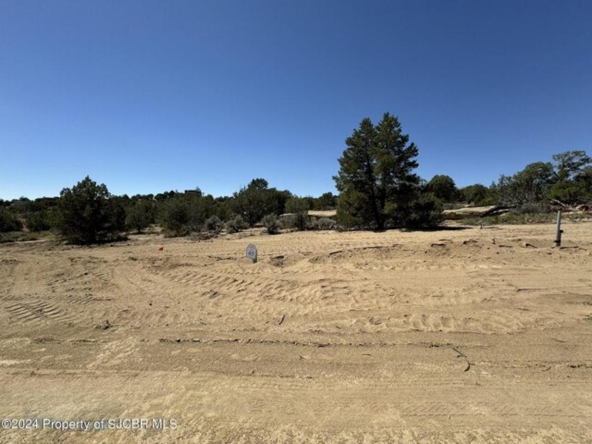 Picture of Residential Land For Sale in Farmington, New Mexico, United States