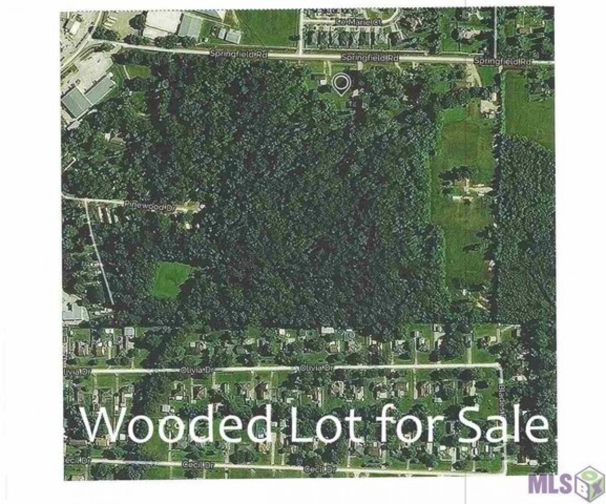 Picture of Residential Land For Sale in Denham Springs, Louisiana, United States