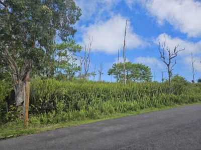 Residential Land For Sale in Pahoa, Hawaii