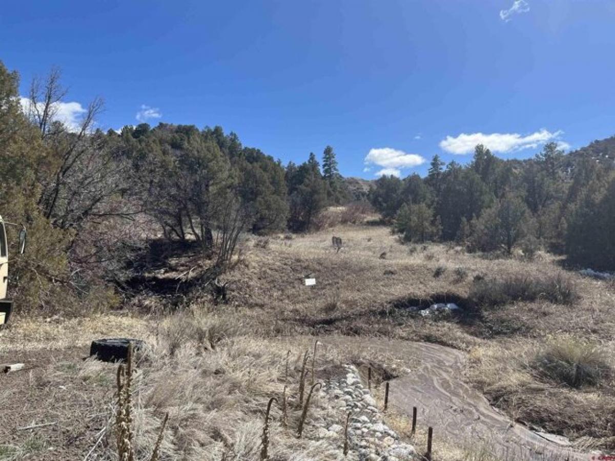 Picture of Residential Land For Sale in Durango, Colorado, United States