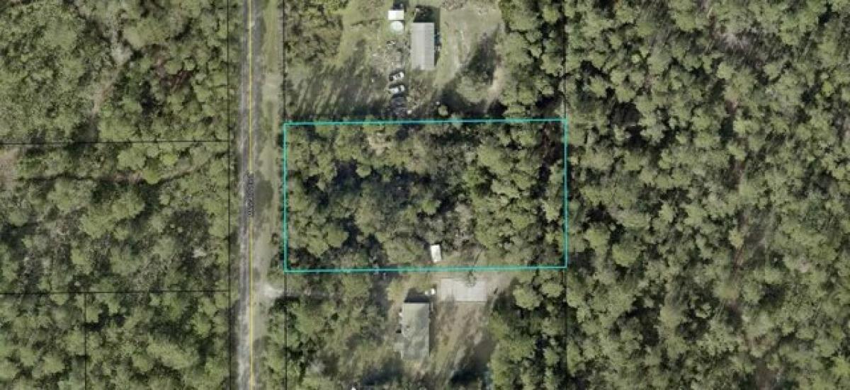 Picture of Residential Land For Sale in Bunnell, Florida, United States