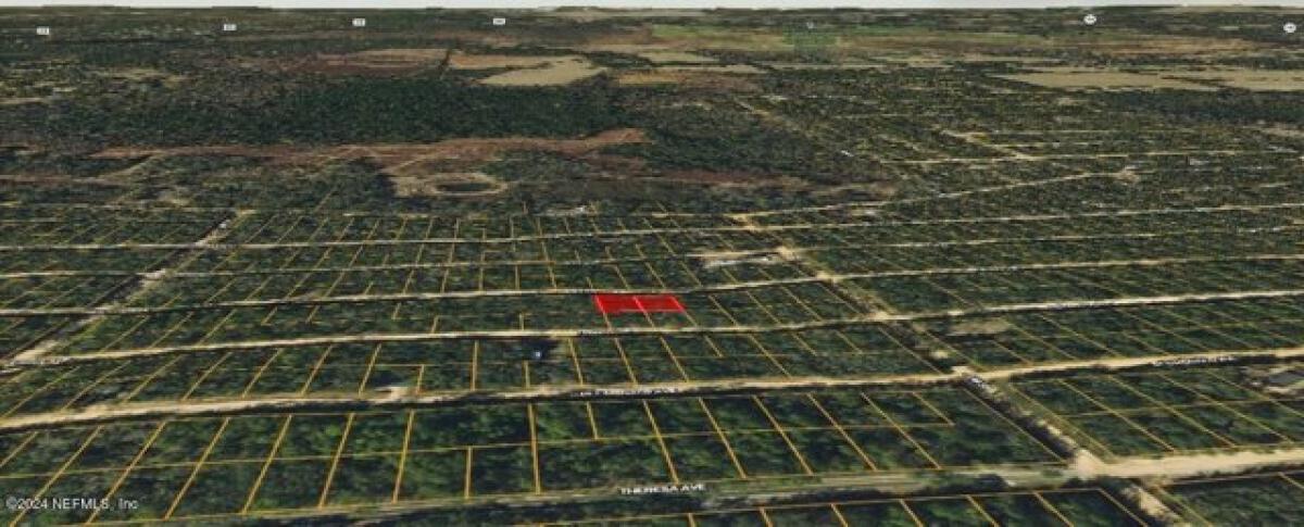 Picture of Residential Land For Rent in Interlachen, Florida, United States