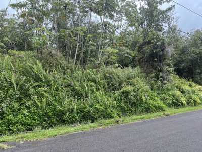 Residential Land For Sale in Pahoa, Hawaii