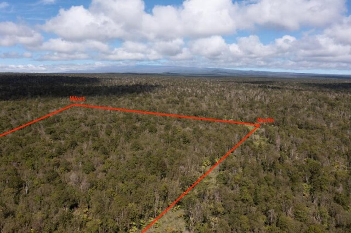 Picture of Residential Land For Sale in Mountain View, Hawaii, United States