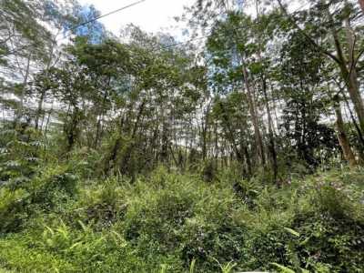 Residential Land For Rent in Pahoa, Hawaii