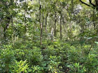 Residential Land For Sale in Gainesville, Florida