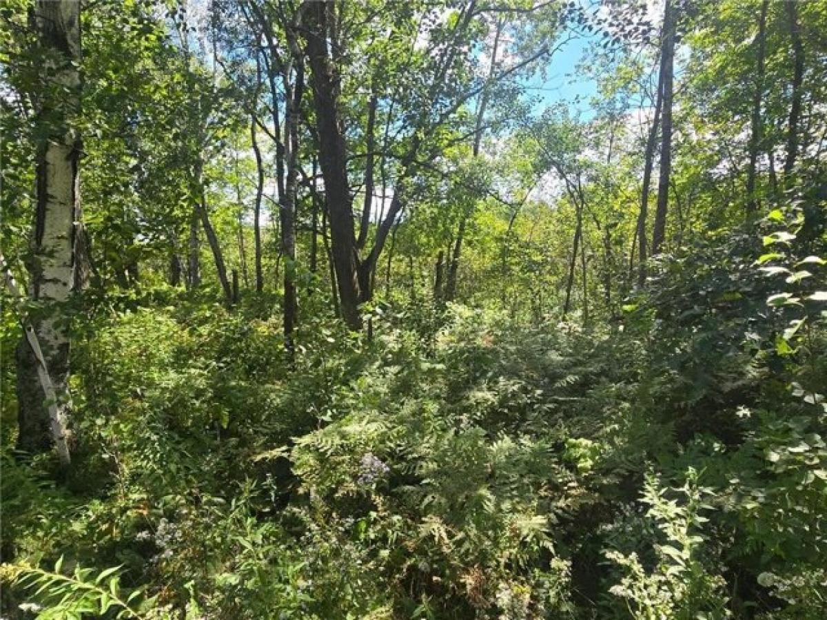 Picture of Residential Land For Sale in Hillman, Minnesota, United States
