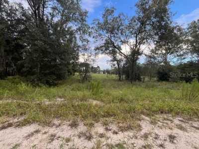 Residential Land For Sale in Morriston, Florida