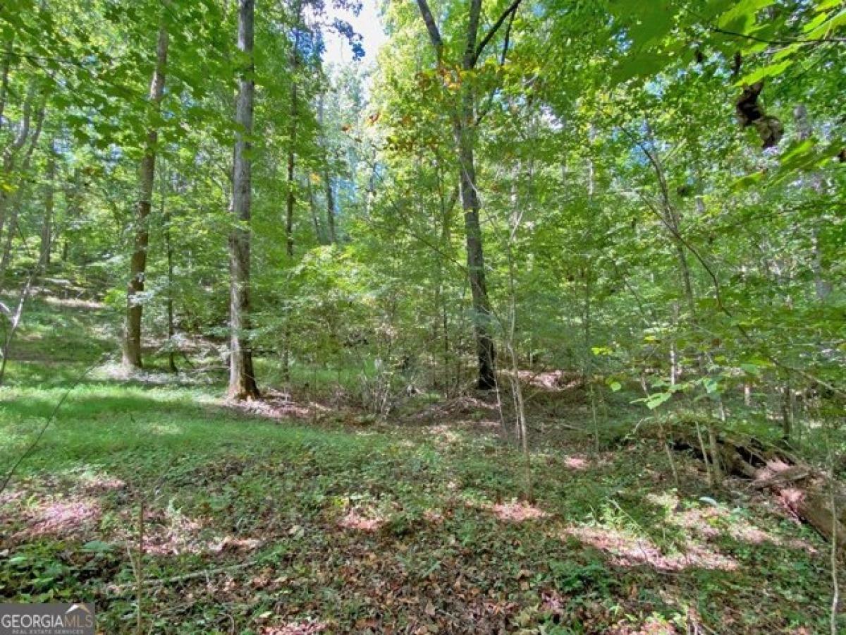 Picture of Residential Land For Sale in Dahlonega, Georgia, United States