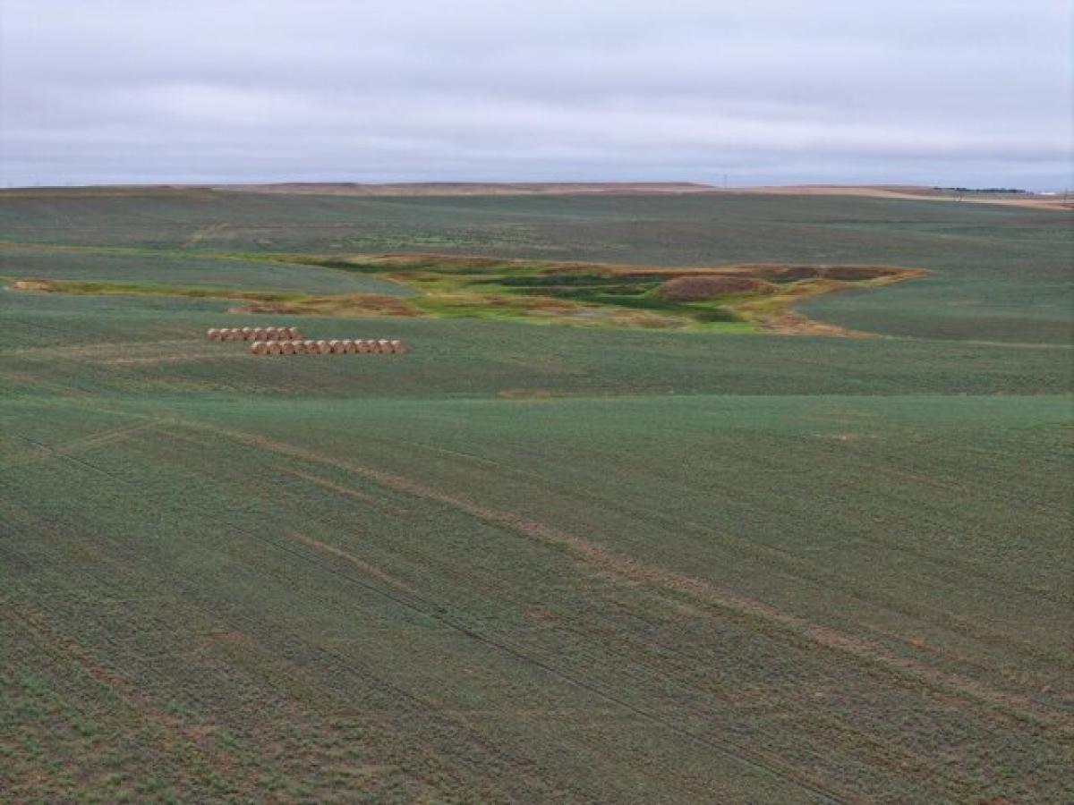 Picture of Home For Rent in Bison, South Dakota, United States