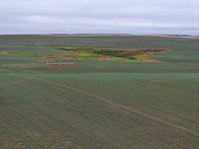 Home For Rent in Bison, South Dakota