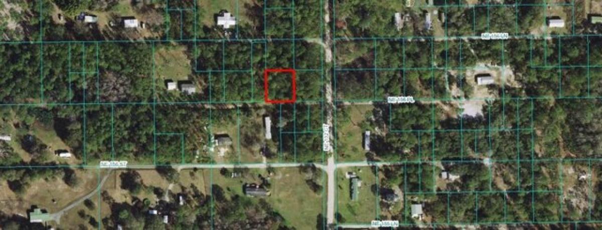 Picture of Residential Land For Rent in Fort Mccoy, Florida, United States