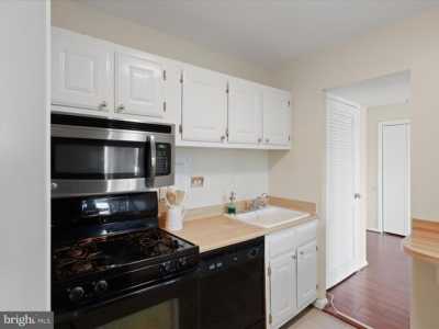 Apartment For Rent in Alexandria, Virginia