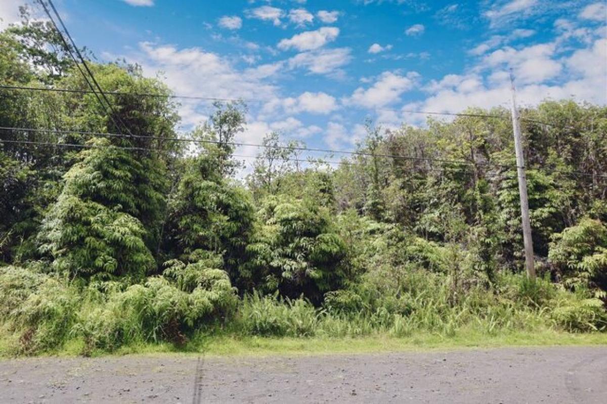 Picture of Residential Land For Sale in Mountain View, Hawaii, United States