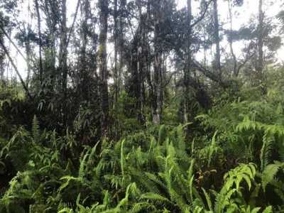 Residential Land For Rent in Pahoa, Hawaii