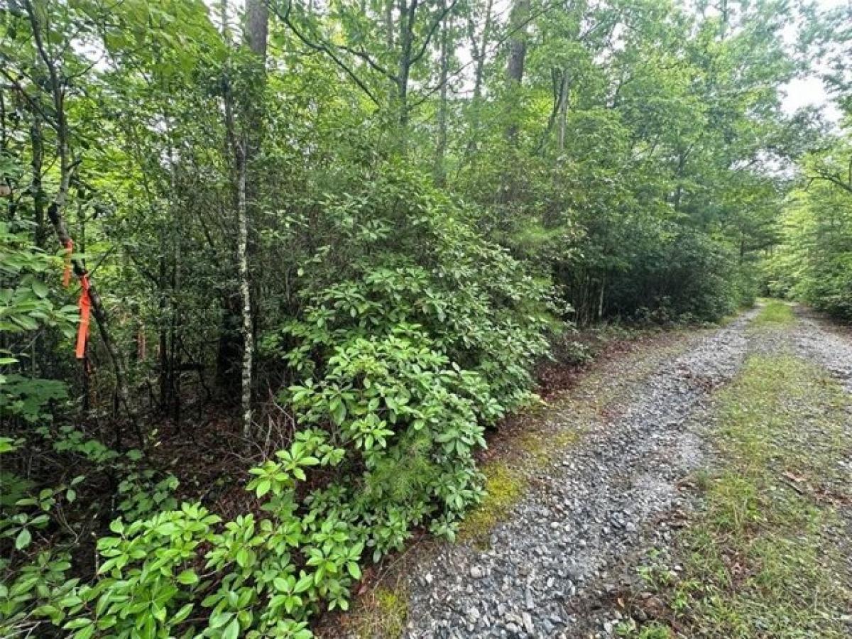 Picture of Residential Land For Sale in Sautee Nacoochee, Georgia, United States