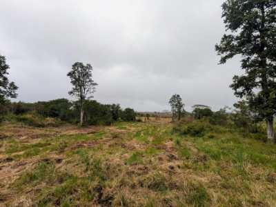 Residential Land For Sale in Mountain View, Hawaii