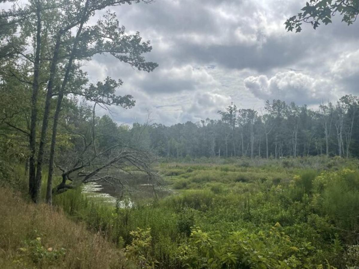 Picture of Home For Sale in Star City, Arkansas, United States