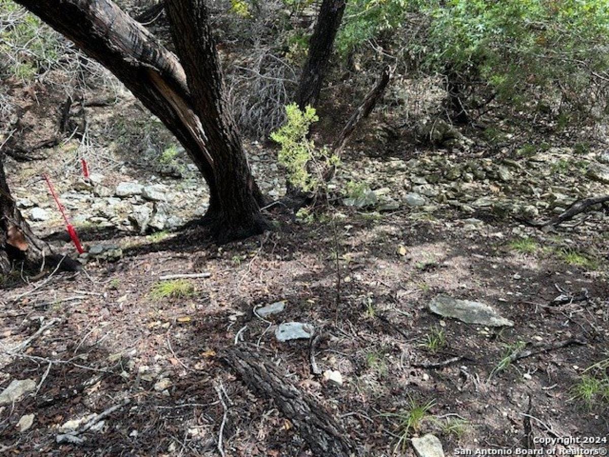 Picture of Home For Sale in Fredericksburg, Texas, United States