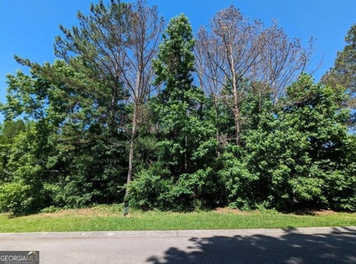 Picture of Residential Land For Sale in Temple, Georgia, United States