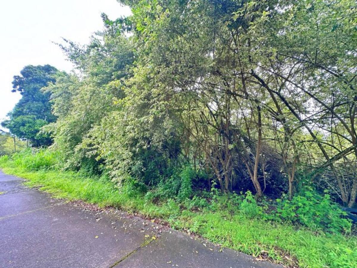 Picture of Residential Land For Sale in Captain Cook, Hawaii, United States