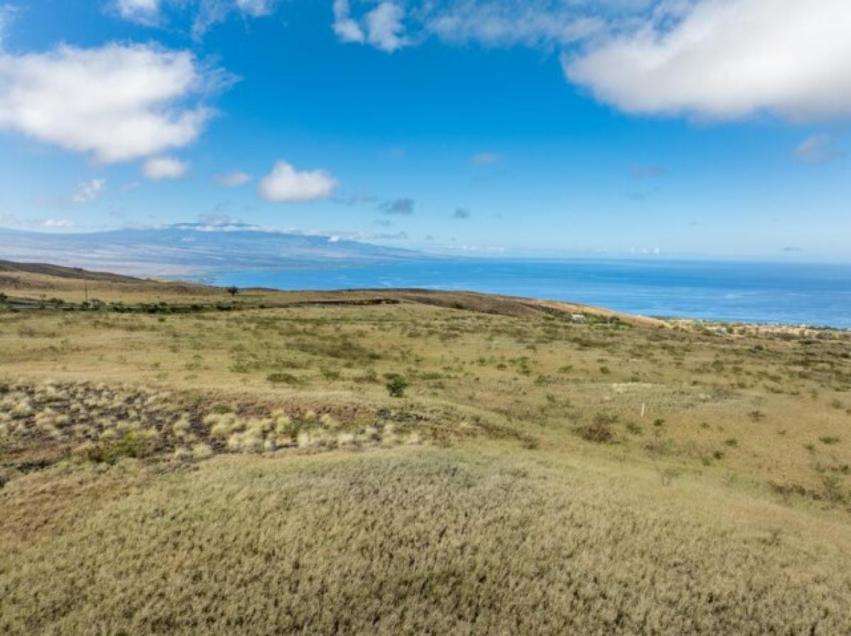 Picture of Residential Land For Sale in Kamuela, Hawaii, United States