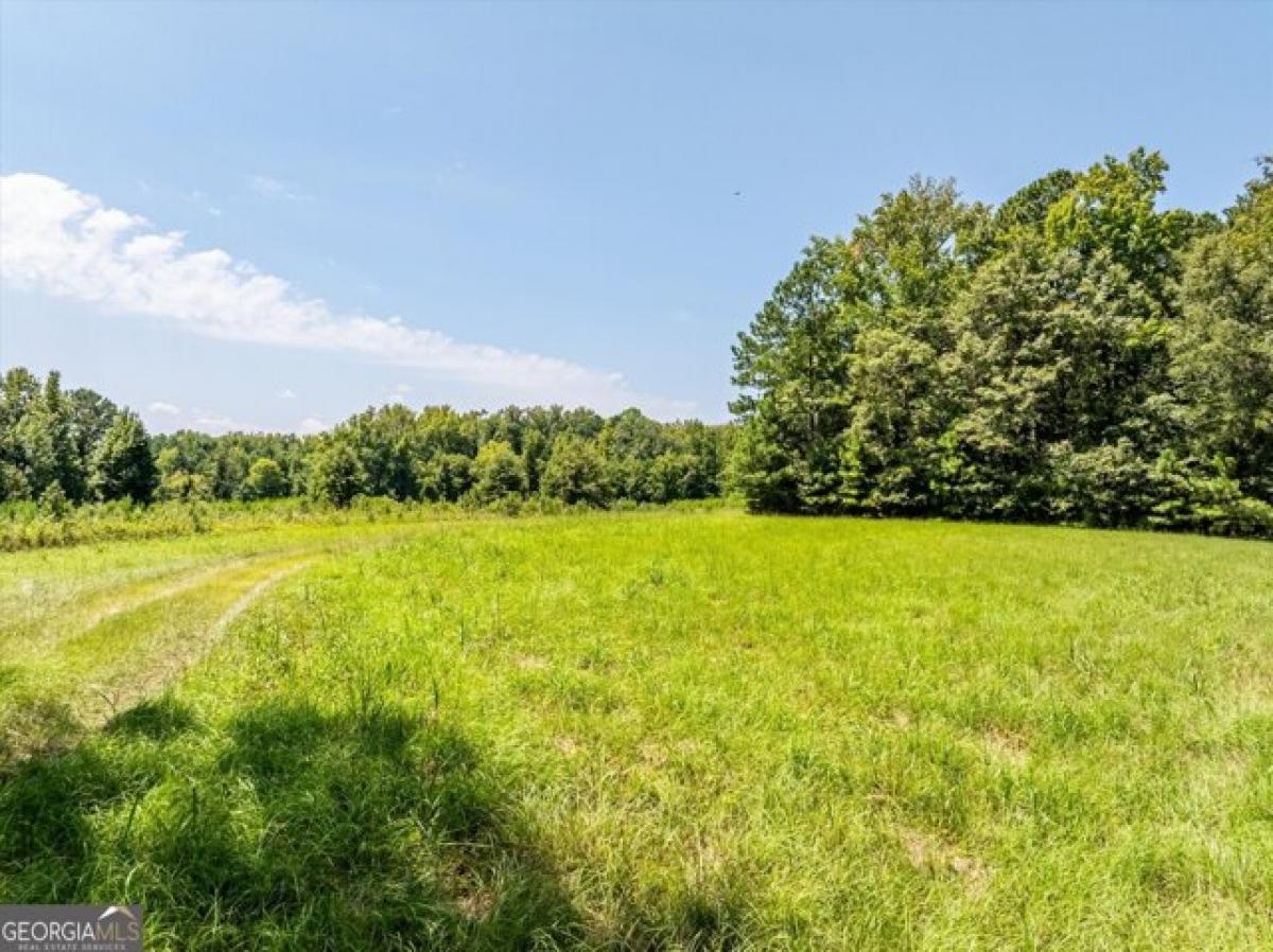 Picture of Residential Land For Sale in Thomson, Georgia, United States