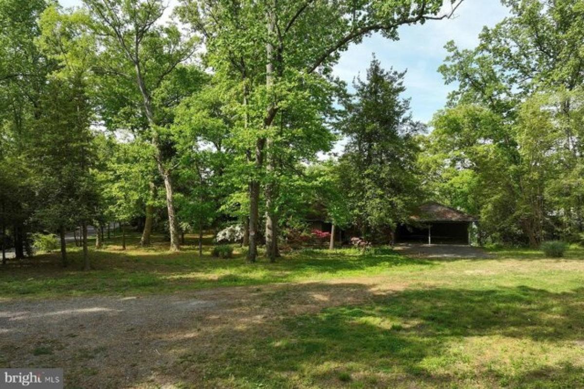 Picture of Residential Land For Sale in Annapolis, Maryland, United States