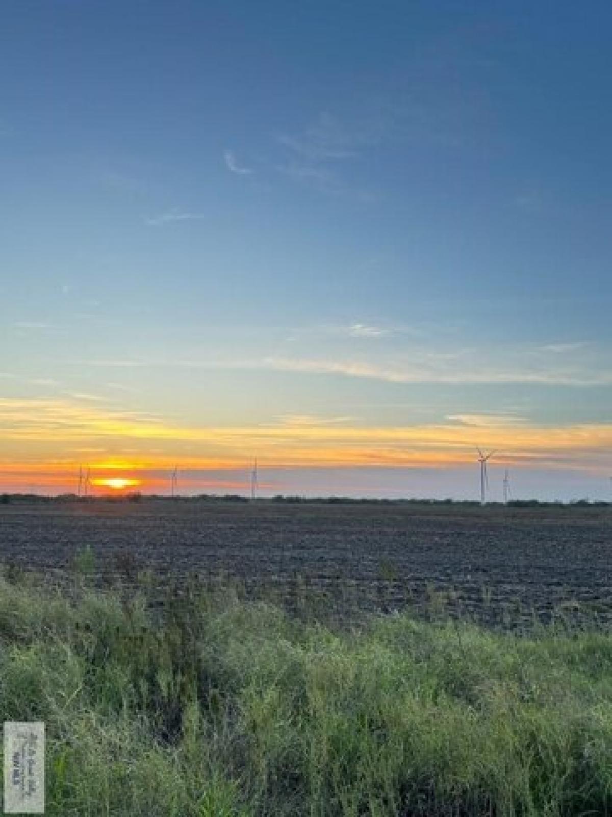 Picture of Residential Land For Sale in Rio Hondo, Texas, United States